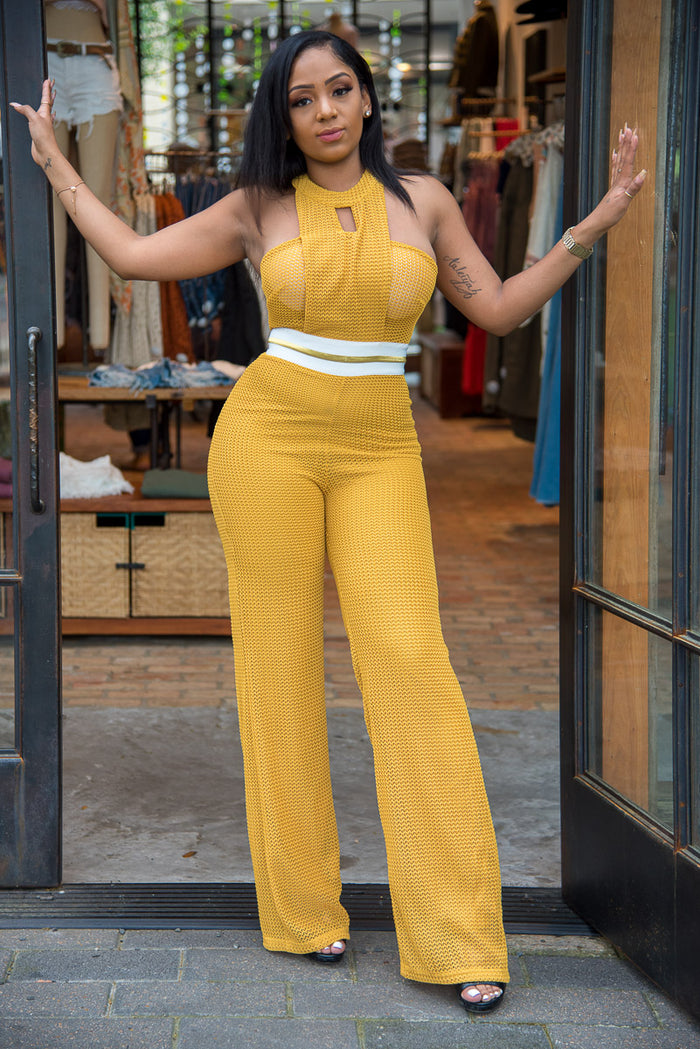 Nylon Mesh Sleeveless Jumpsuit featuring detailed waist zipper and a zipper back.